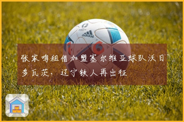 张家鸣租借加盟塞尔维亚球队沃日多瓦茨，辽宁铁人再出征